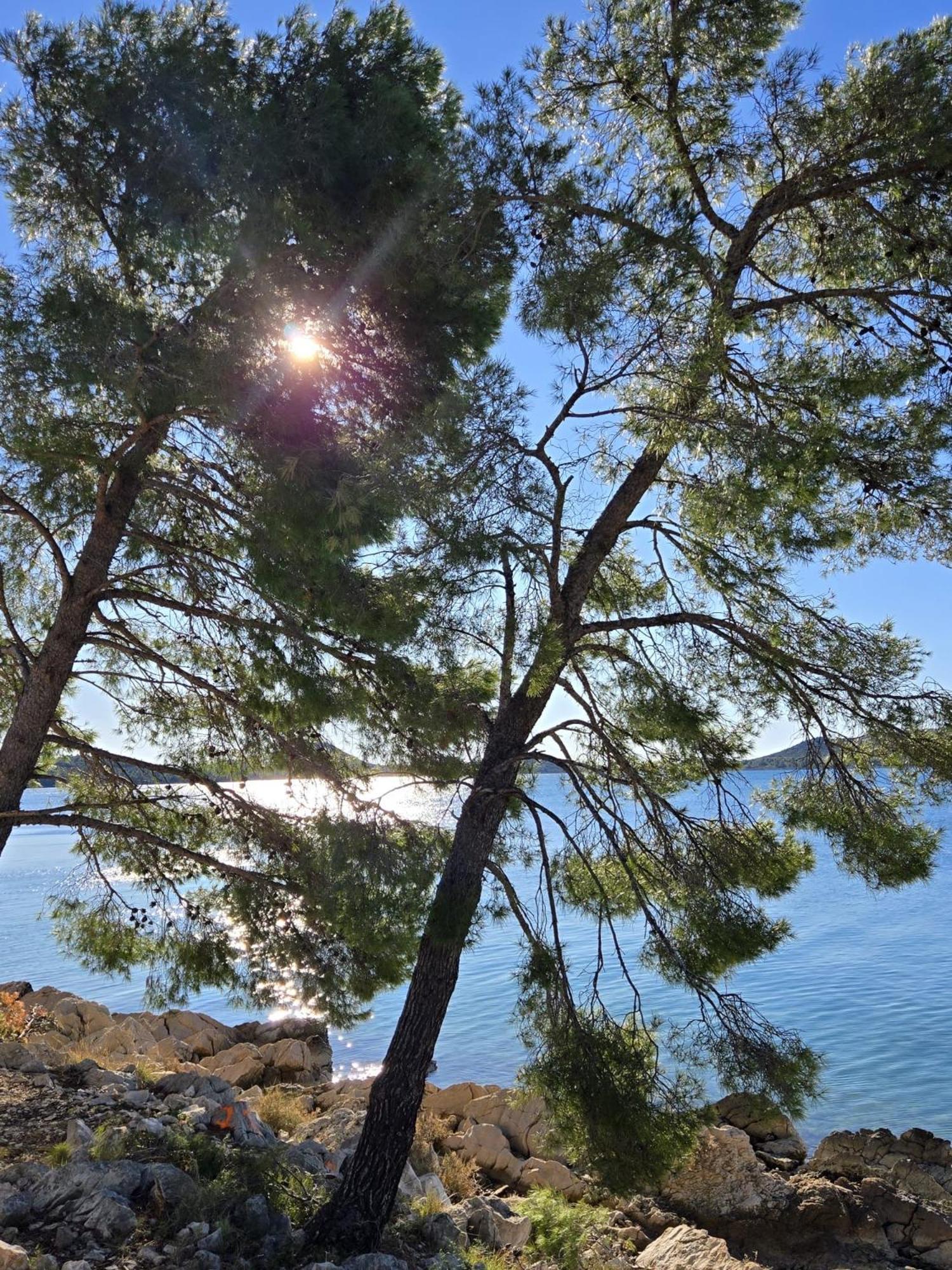 Mobile Homes Dololego - Drage Baška Voda エクステリア 写真